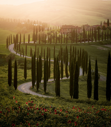 Agriturismo Baccoleno