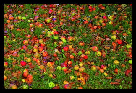 Kunst in de tuin