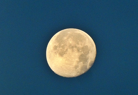 maan