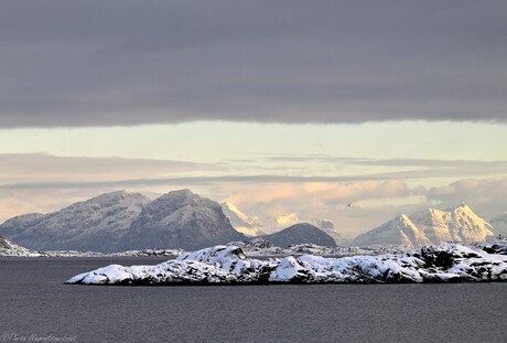 Svolvær Seascape
