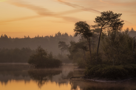 Early morning sillence