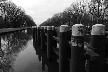Om en bij "Brug Groene woud"