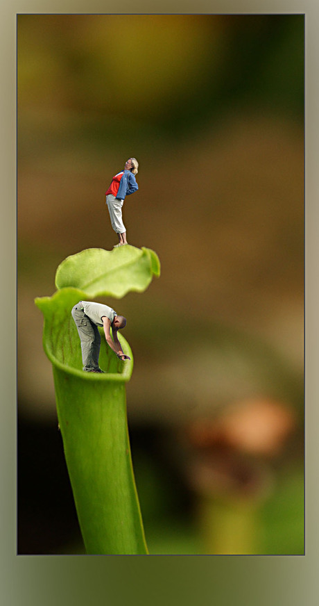 tsja.. wat moet je..........................