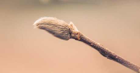 On my way to spring...