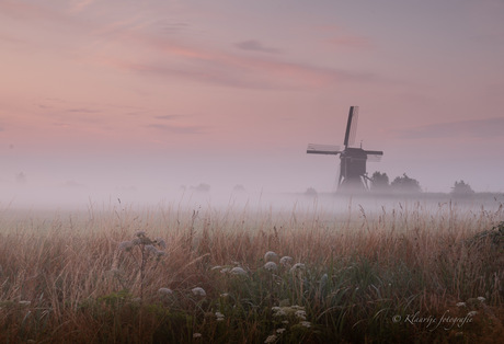 Mist in de polder