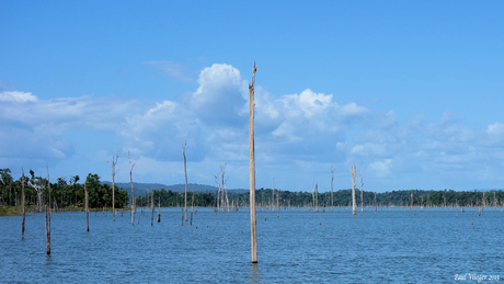 Brokopondostuwmeer