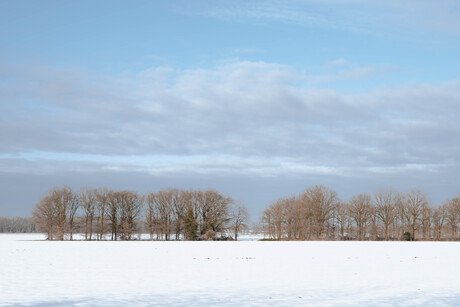 Winterse wereld wit