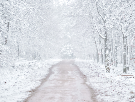 Ardennen kerst 2020