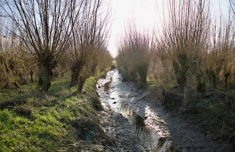 Rhoonse grienden