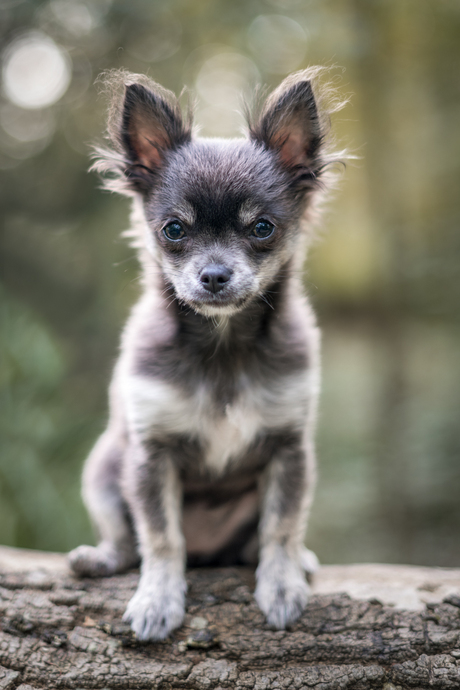 Nog geen 4 maanden oud en keurig blijven zitten