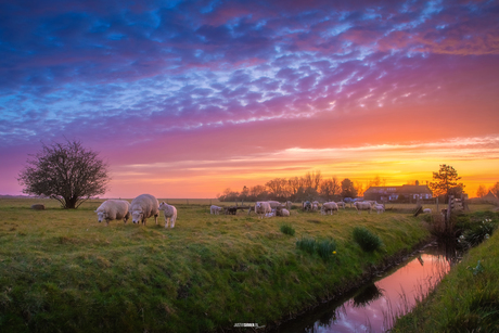 Schitterende zonsondergang!