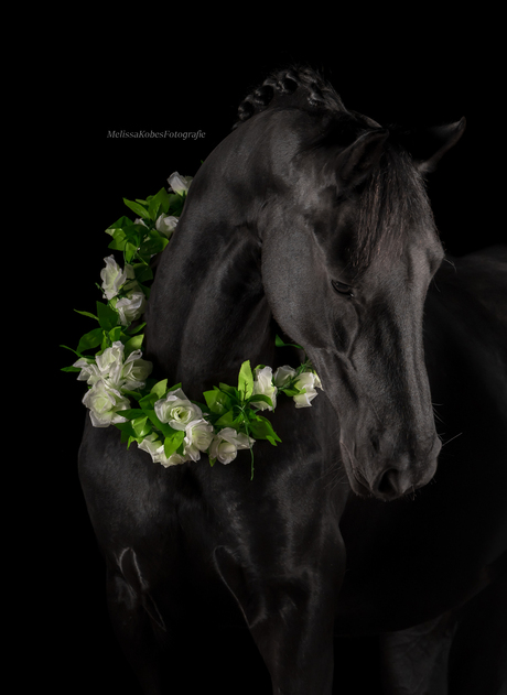 studio fotografie