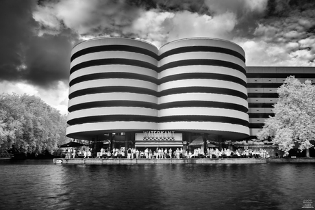 De billen in infrarood 950nm