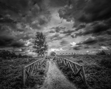 Pad naar uitzicht punt 