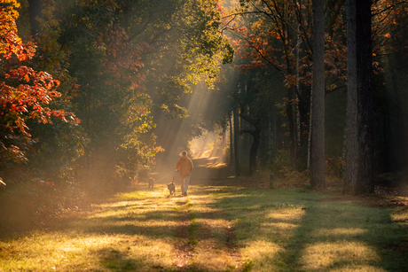 Herfst kleuren 