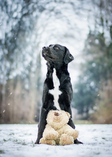 Samen in de sneeuw