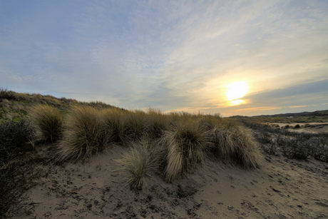 Duinen 