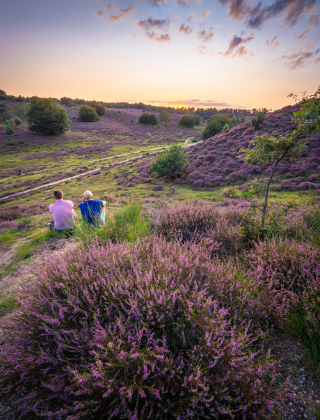 Genieten van de heide