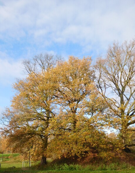 Afscheid van de herfst