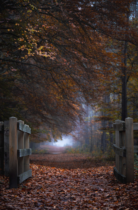 poortje naar een sprookje