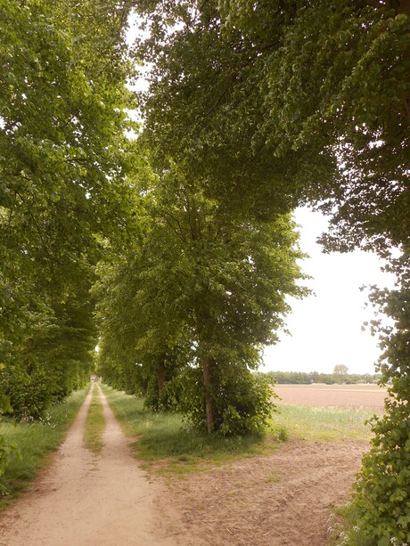 Dubbel doorkijkje