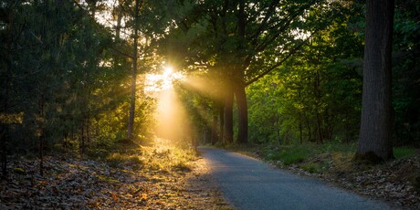 Betoverende Avondwandeling