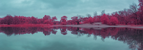 Kodak aerochrome reflections