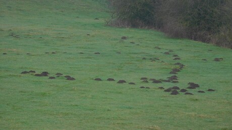 We'll meet again .......