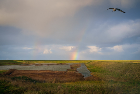 Voyage to the rainbows