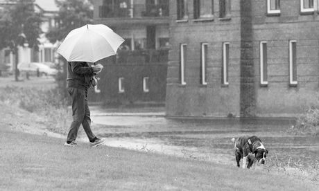 Ook in de regen met je hond naar buiten