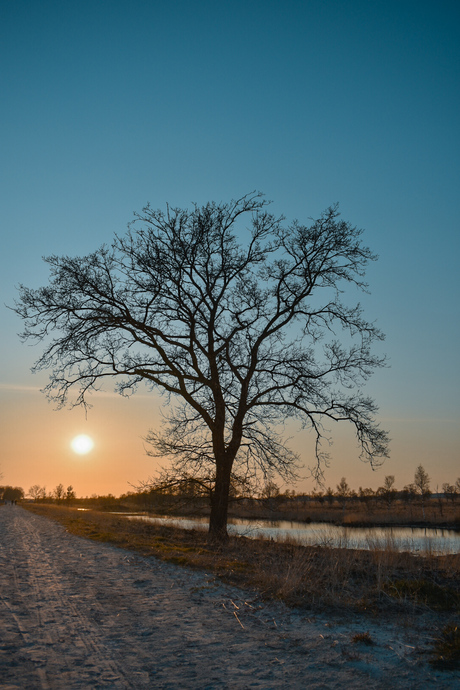 Zonsondergang