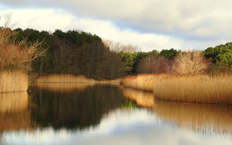 Serene stilte