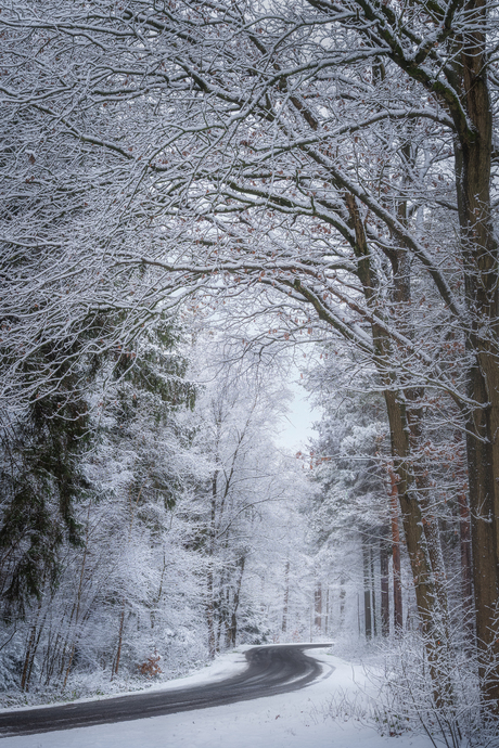 Slingerend door stilte.