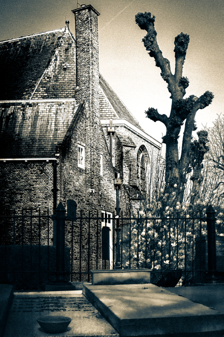 In de schaduw van het gesternte