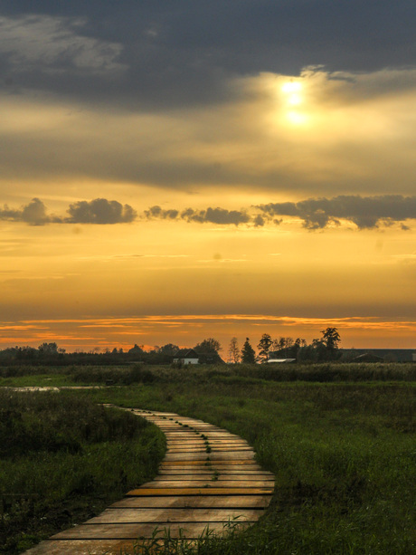 The path to the light