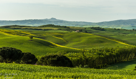 Val d' Orcia