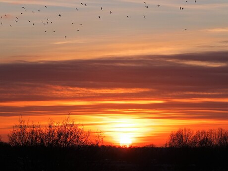 sunset photography