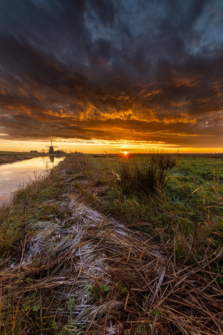 De Havik bij zonsopkomst