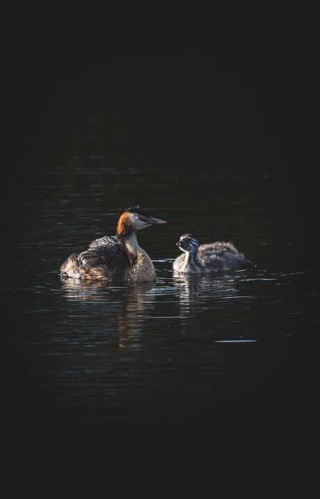 Mother & child