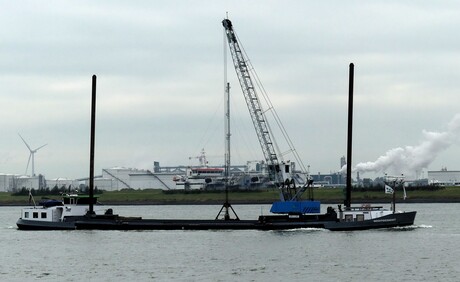 P1260887   Maassluis west   Werkschip  de Nooit gedacht  met kraan  15 okt 2024  