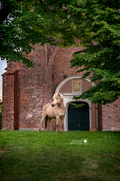 Stjörnubirtna voor de kerk