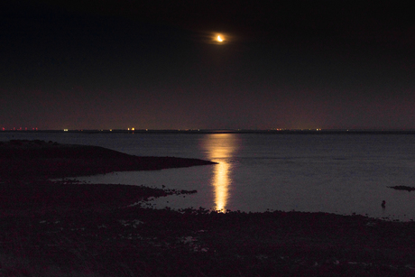 Bloedmaan 7 september 2025