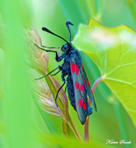 "Beauty of nature..."