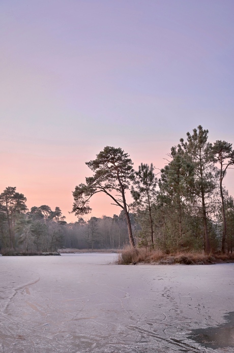 Icy sunrise