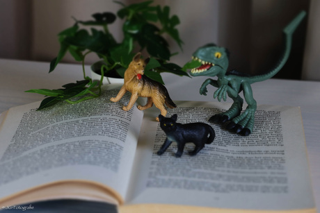 Het boek komt langzaam tot leven.