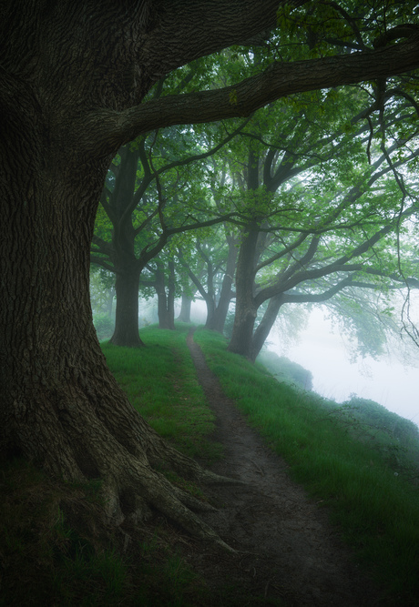 Path into the unknown!