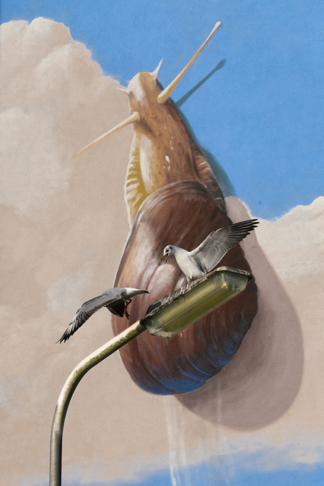 Muurschildering slak met vechtende meeuwen