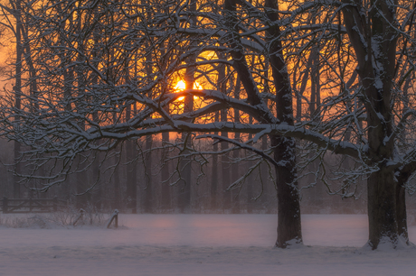 Rustig winterplaatje
