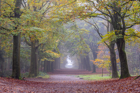 Herfstkleuren