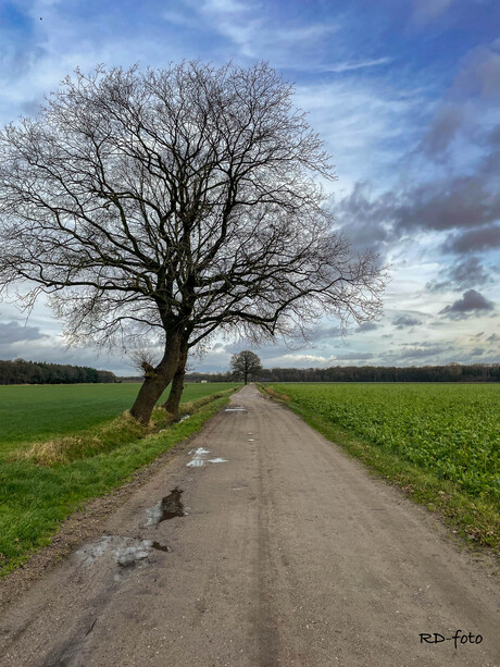 Zandweg